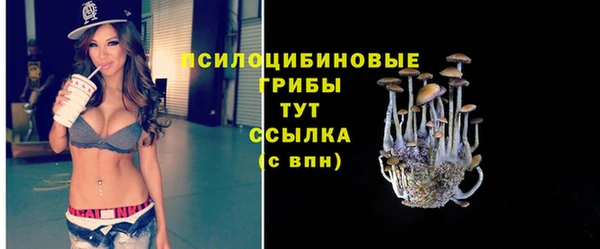 ГАЛЛЮЦИНОГЕННЫЕ ГРИБЫ Краснослободск