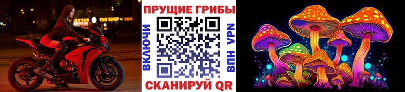 Купить где  Таганрог  Псилоцибиновые грибы прущие грибы 